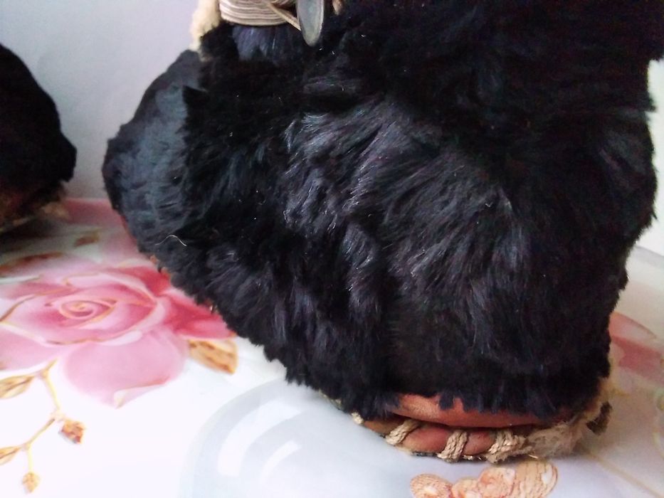 Унтики детские уги