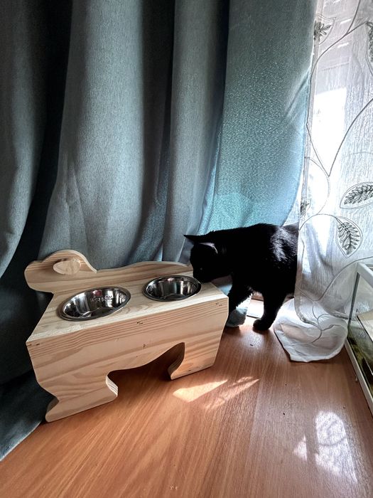 Comedouro e Bebedouros para Cão