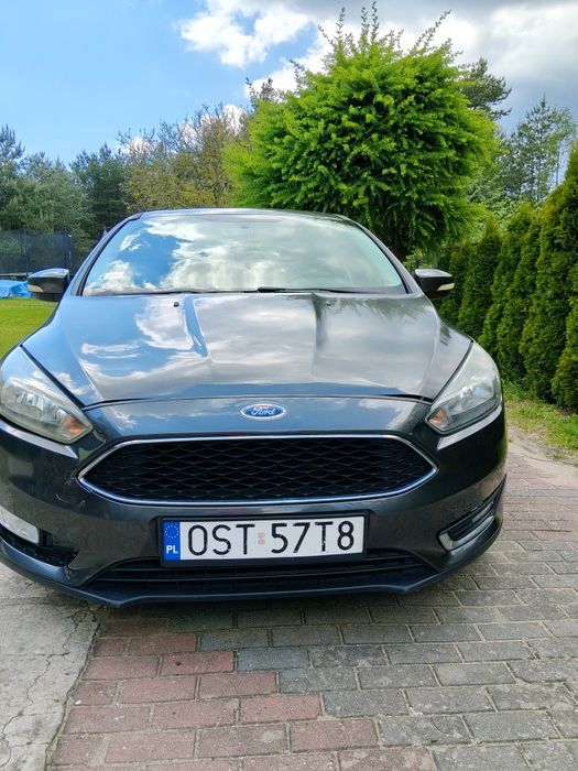 Ford Focus mk3 Lift (2015)
