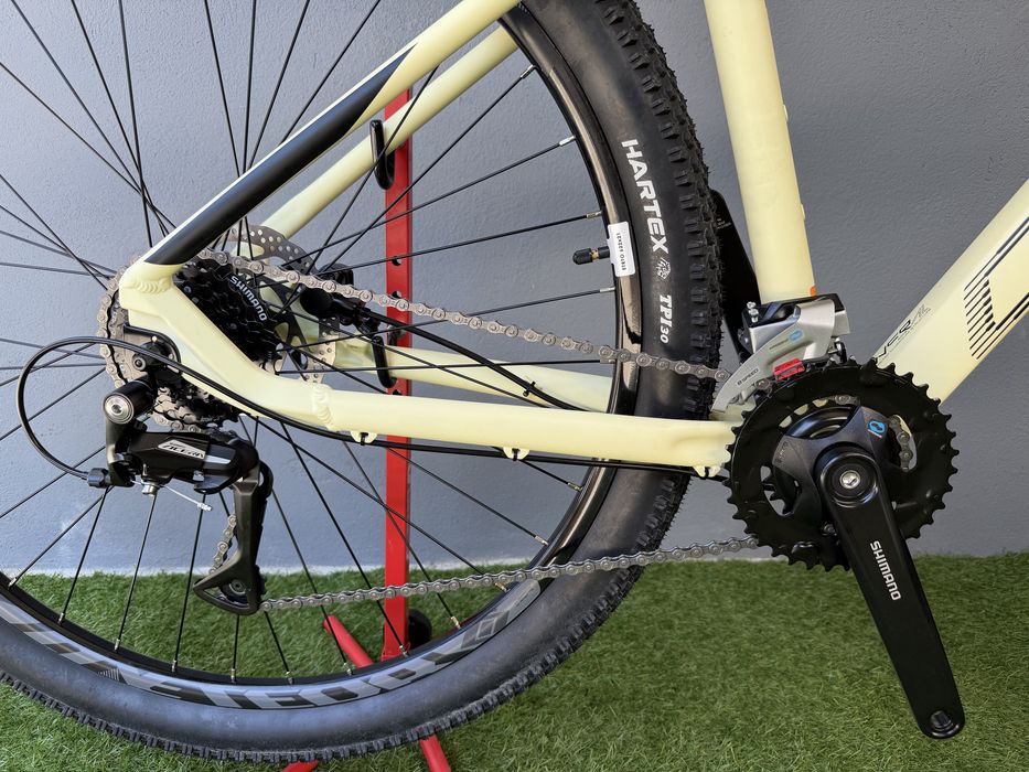 Coluer pragma 8x2v nova promocao