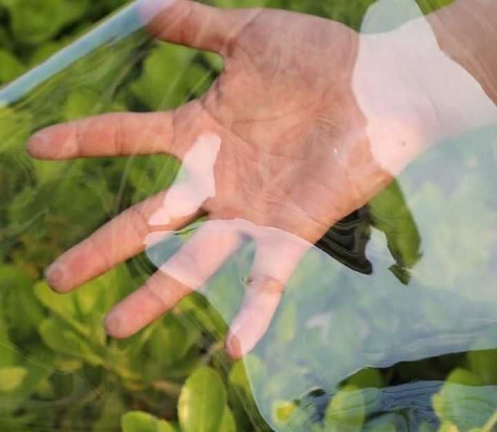 Plandeka Ogrodowa Tarasowa Przezroczysta Ogrodu 4x4m i INNE ROZMIARY