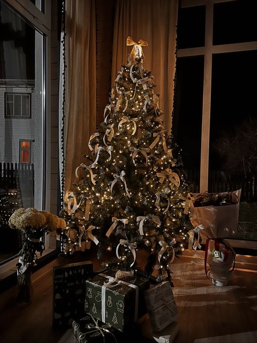 Будинок для відпочинку | Котедж Карпати