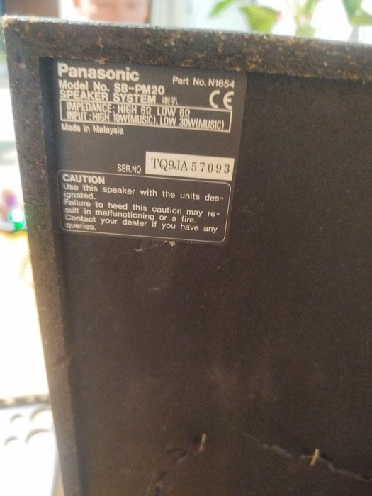 Głośnik Panasonic