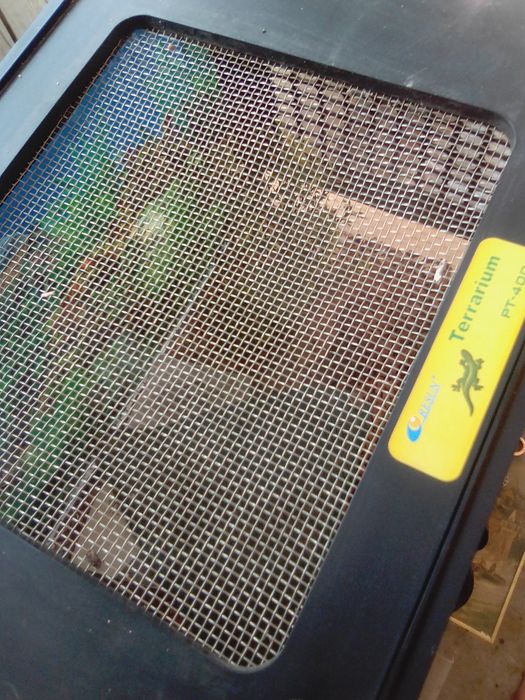 Répteis aquário novo