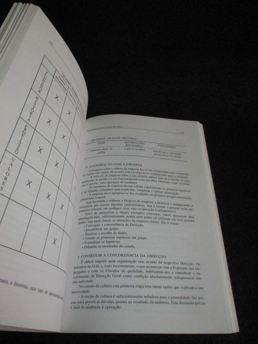 Livro Cultura de Empresa Auditoria e Mudança Maurice Thévenet