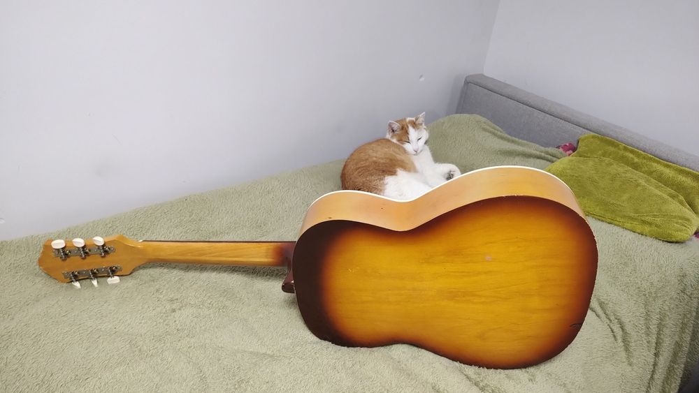 Defil 7/8 gitara akustyczna gryf 45 mm   Dobre brzmienie !!