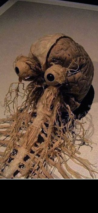 Драммер-вокалист ищет гитариста