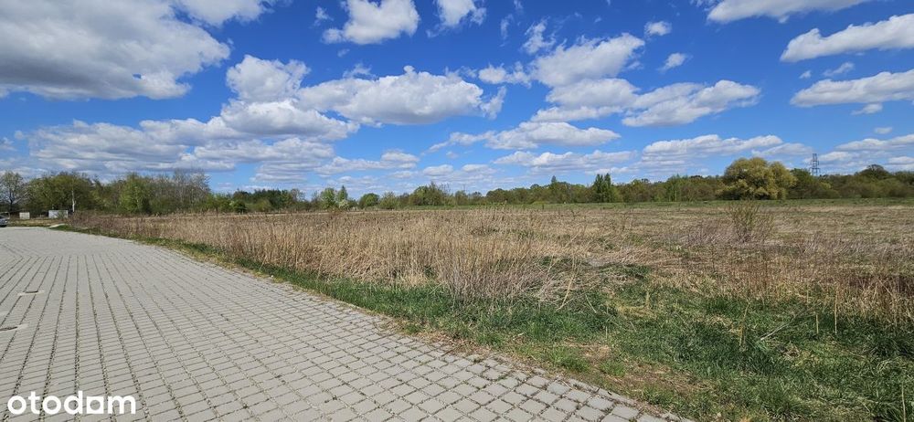 Wrocław, Psie Pole, Kowale - Widok 3