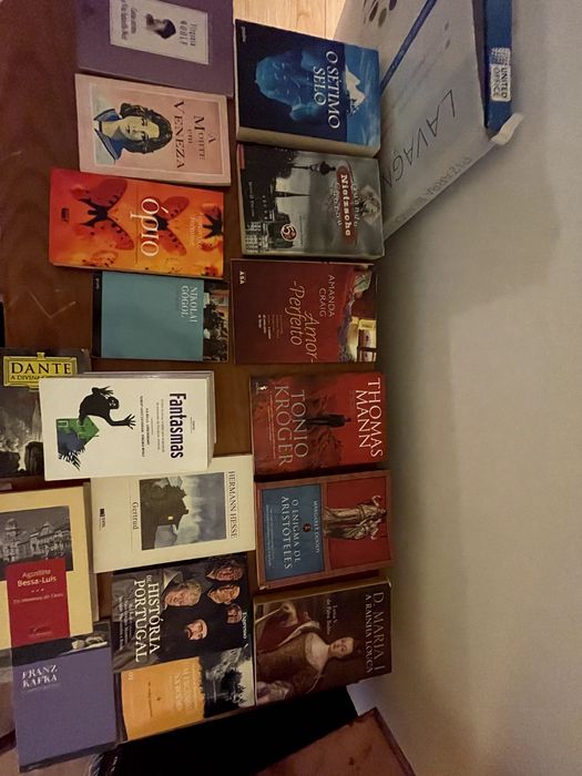 Conjunto de vários livros - romances e filosofia