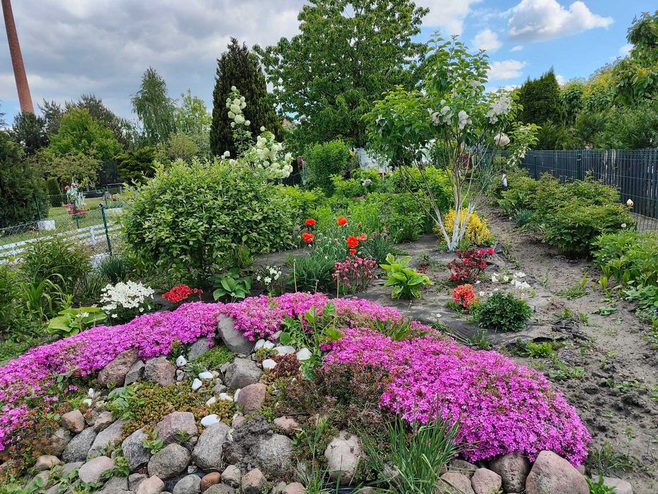 Działka ogrodnicza ROD