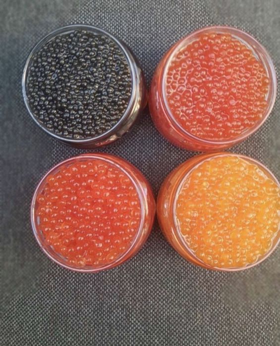 Чорна ікра веслоноса черная икра акція 1+1=3 червона ікра ікра шуки