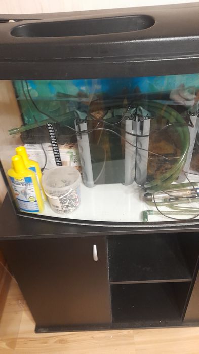 Panoramiczne akwarium o pojemności 200 litrów.