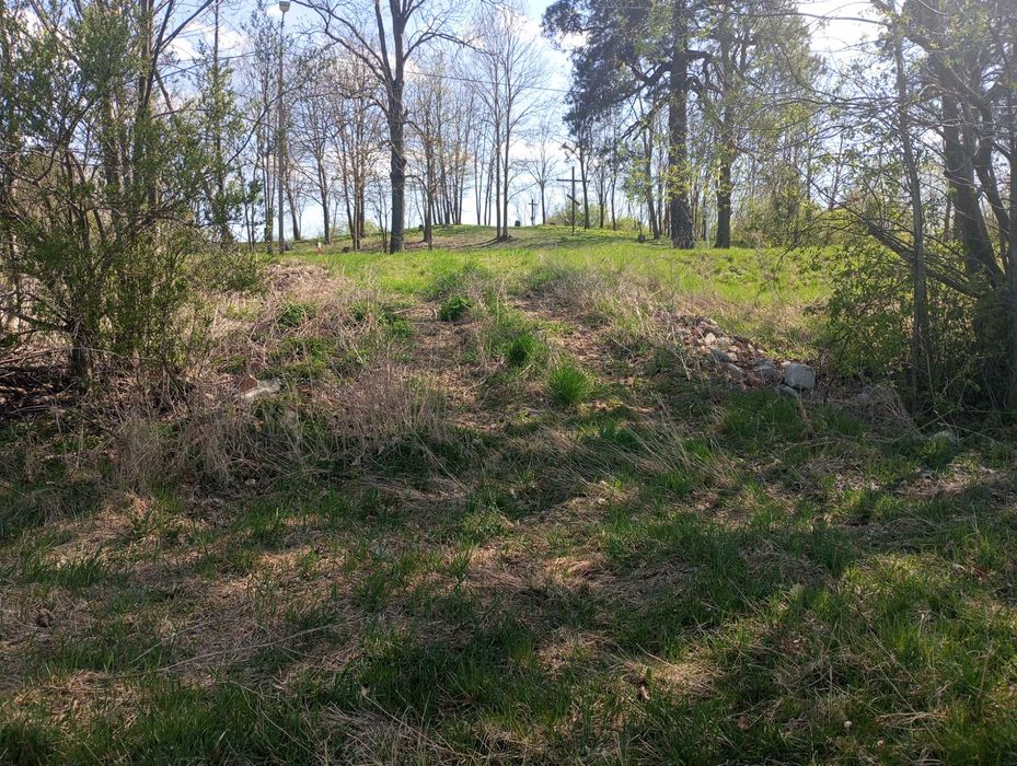 Działka z warunkami zabudowy 1.29 ha