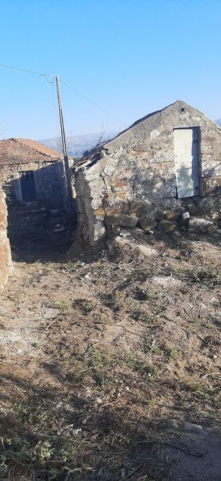 Quinta com casa para restaurar