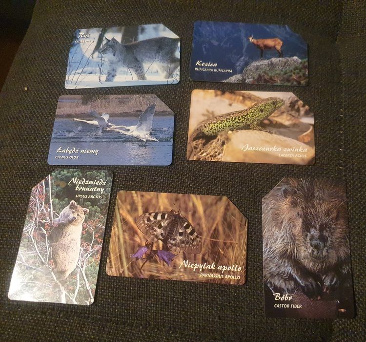 Karty telefoniczne zwierzęta chronione w Polsce