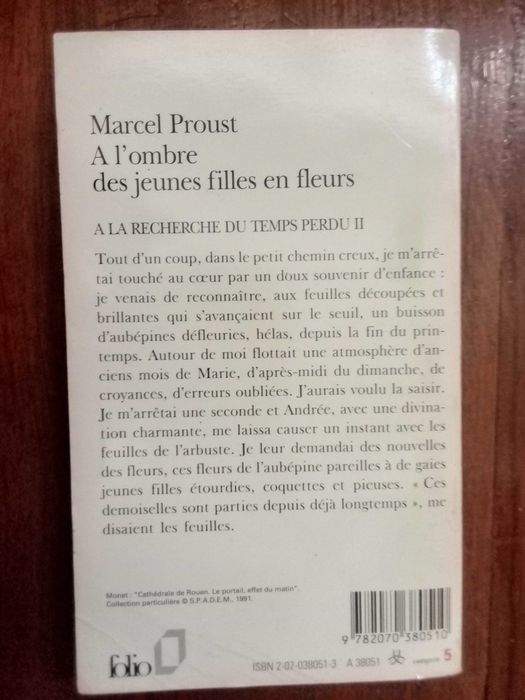 Proust - A l'ombre des jeunes filles en fleurs