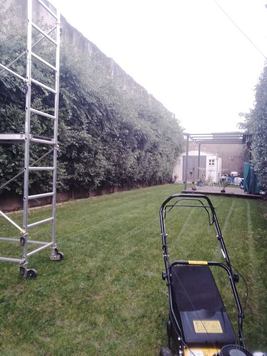 Jardinagem / Podas de sebes e árvores / Limpezas de terrenos