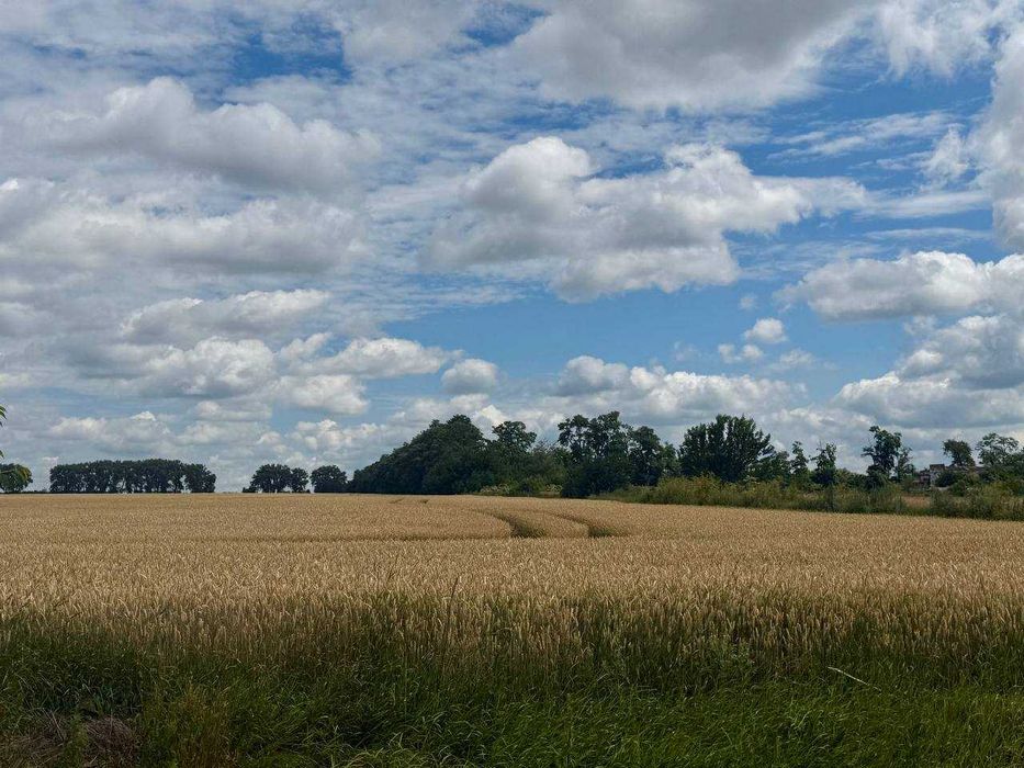 Продається земельна ділянка в с. Іванівка 7811