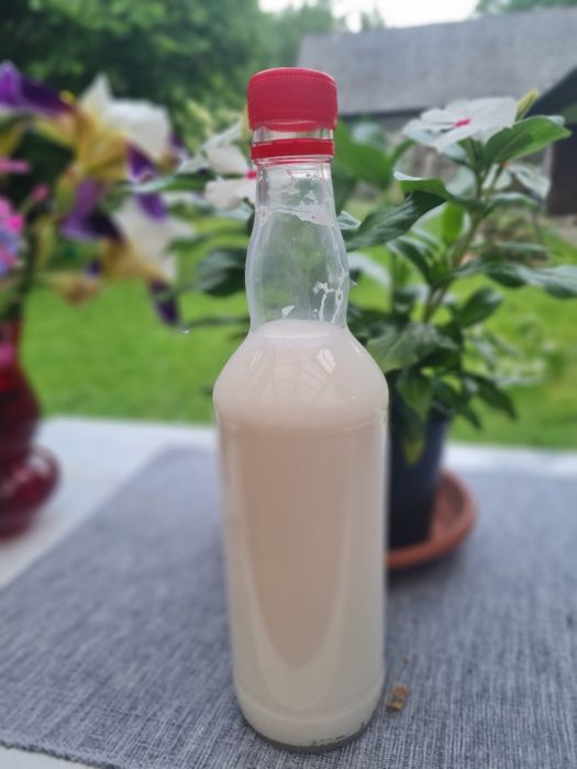 Świeże mleko kozie