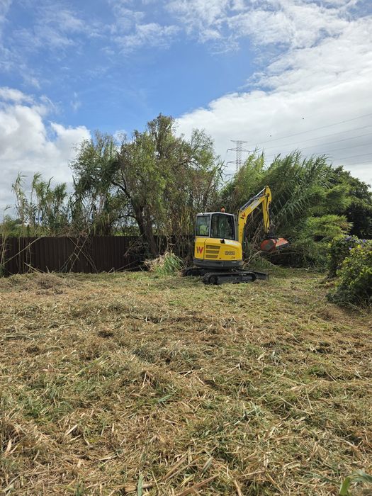 Serviços de mini giratoria com manobrador.