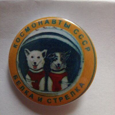 Космонавты Белка и Стрелка значок космонавтика СССР