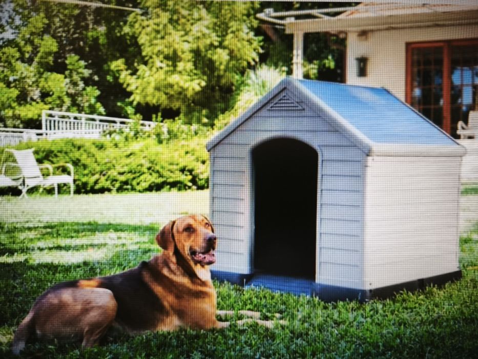 Casota Carver Cão