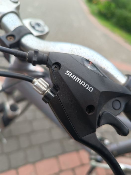 Rower Crossowy Schwinn Railway