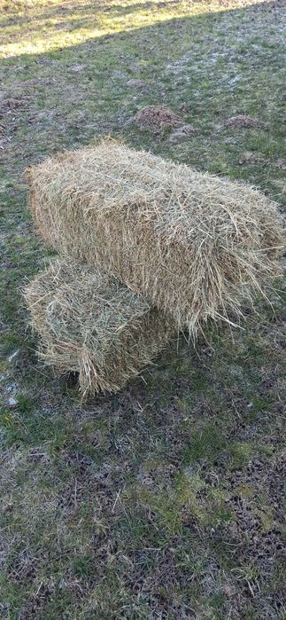 Сіно городнье в тюках 2025 р.