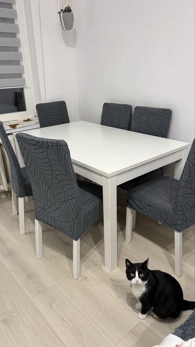 Stół biały rozkładany rozsuwany 140 180 220 cm IKEA BJURSTA 2m do jadalni duży mały dobry stan