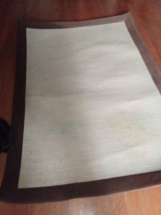 Rug in excellent condition64738039126403121