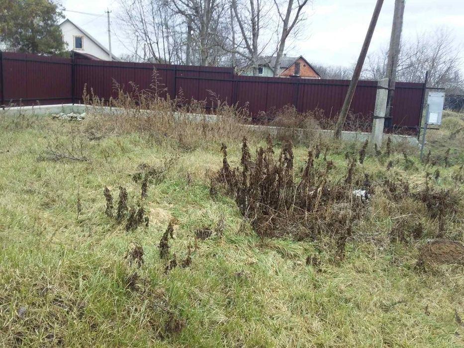 Земельна ділянка