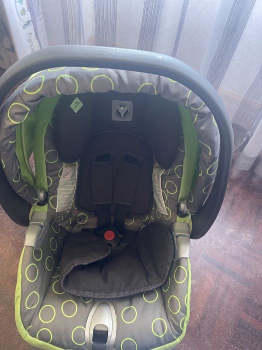 Ovo em bom estado verde e cinzento