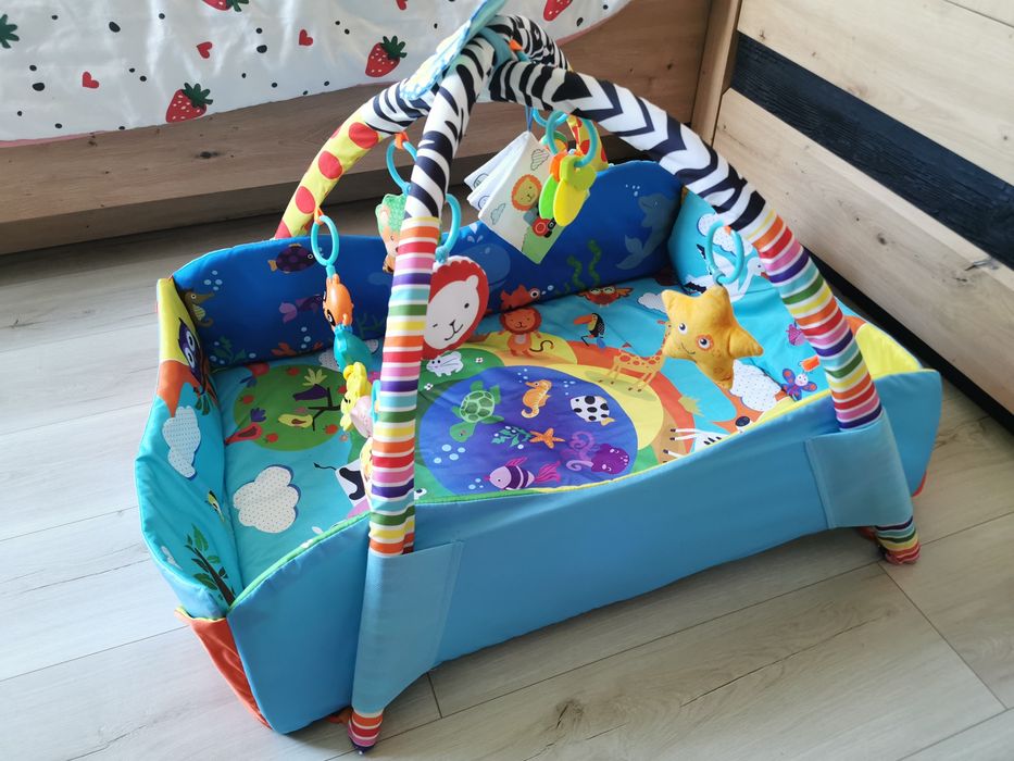 Mata edukacyjna Lionelo Anika Plus