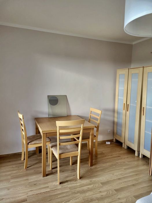 Przestronne i jasne mieszkanie na wynajem
