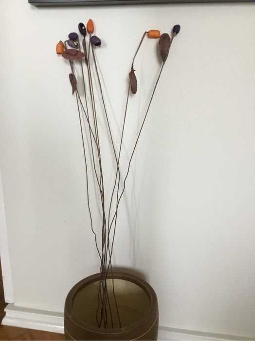 Flores casulos coloridas