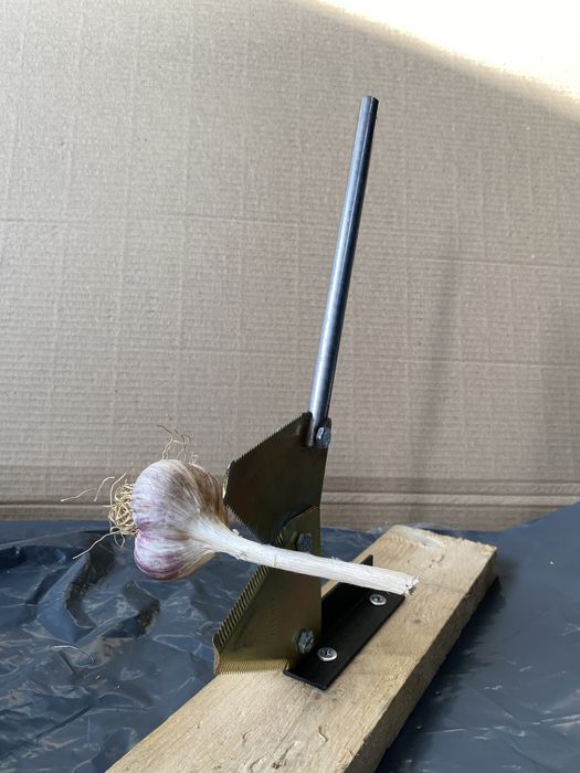 Станок для обрізки часнику / Секатор / обрізка часнику !