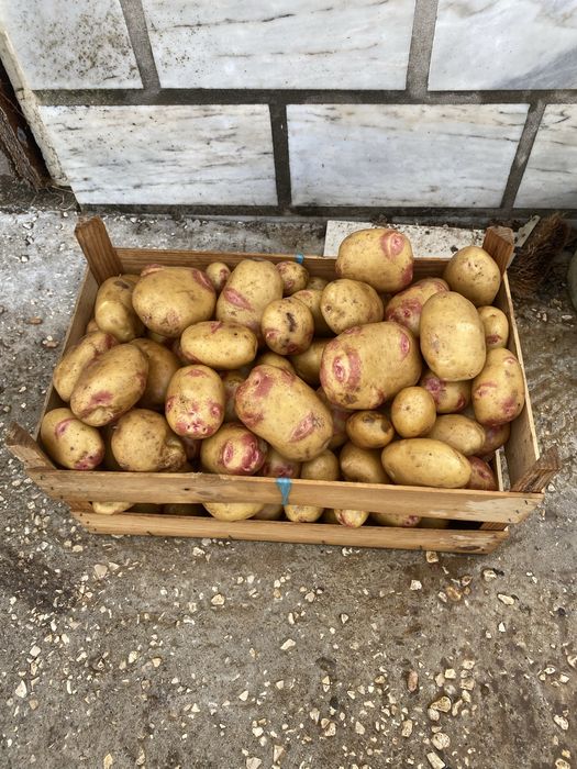 Batatas caseiras