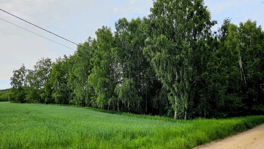 Działki budowlane na sprzedaż_Kruklanki_- 1.400 m2