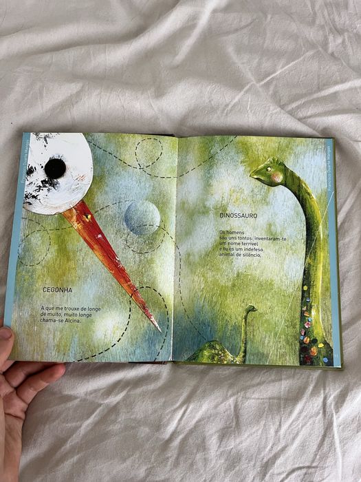 livro “verso a verso” de amadeu baptista