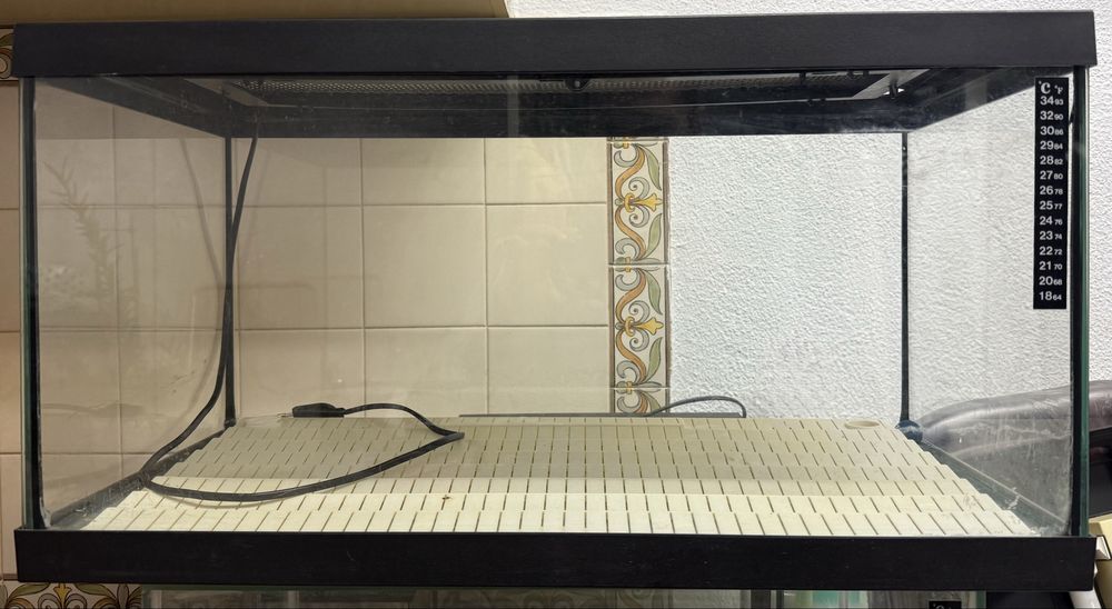 Aquário 70L Completo com Iluminação – Excelente Estado