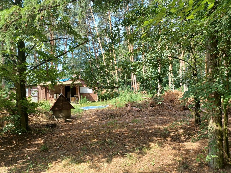 Działka budowlana Adamów Rososki