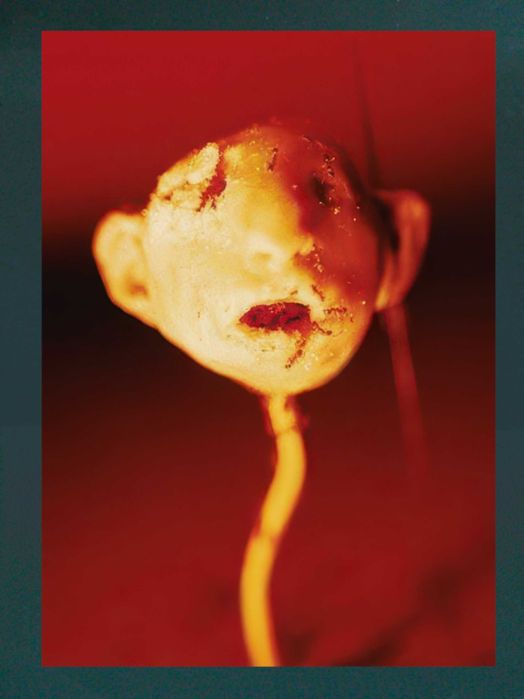 Plakat - Gliniana Głowa z Indykiem, Serem i Mrówkami (David Lynch)