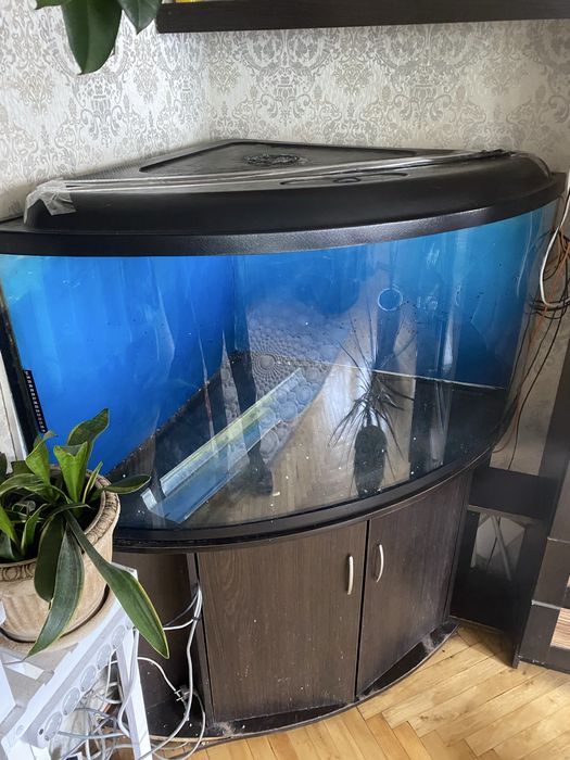 Продам б/у комплект кутового акваріума 390л Природа