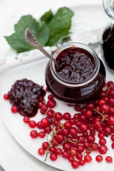 10 x Dżem Porzeczka Czerwona + Morela - 315ml - Przetwory Domowe