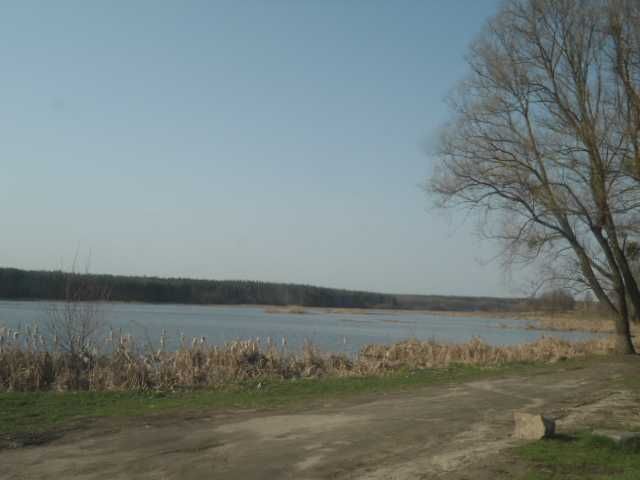 Продажа, обмен участка 0.15Га г.Радомышль, р.Мыка, лес-забудова