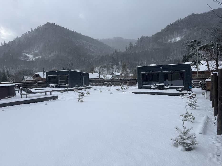 Відпочинок у Карпатах