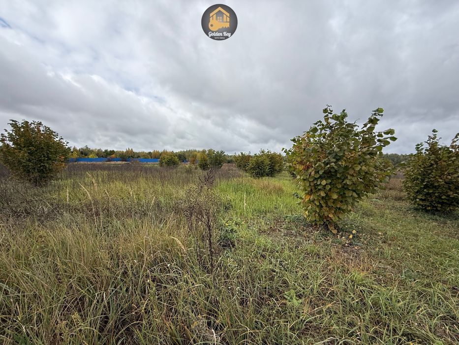 Продам 1.4га під садівництво, засаджено горіхами, бізнес, 40кмКиїв