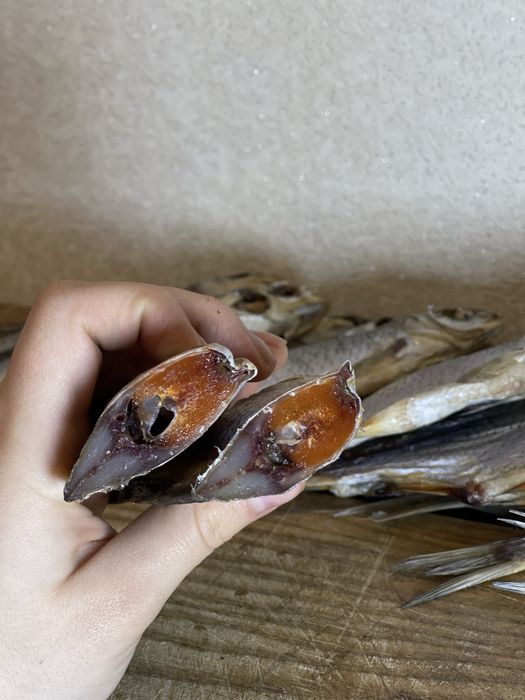 Плотва з ікрою, тарань, лящ, густера, щука, окунь