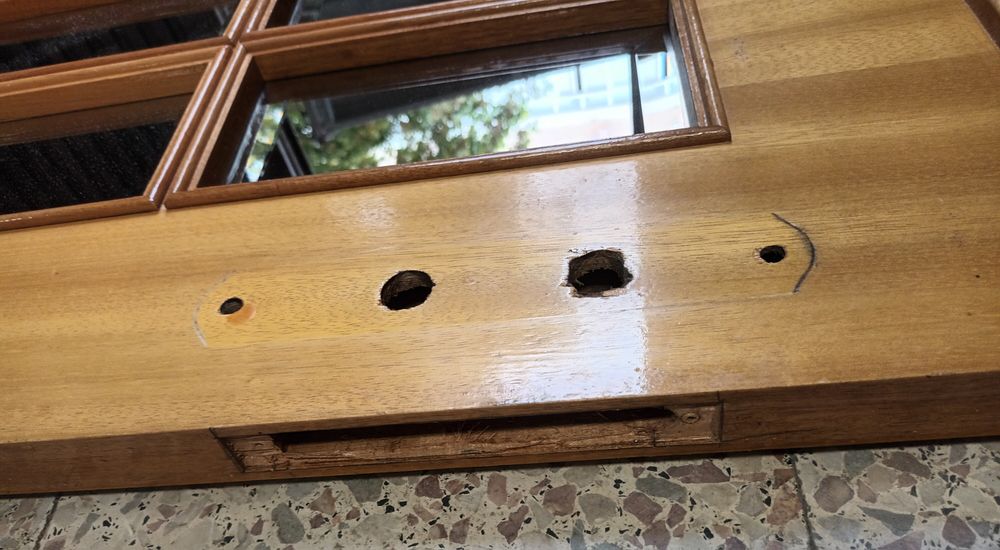 Porta em madeira com vidros