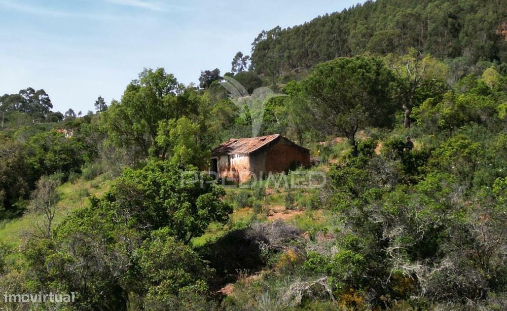 Propriedade com 20,8750 ha a 18 Km da Zambujeira do Mar